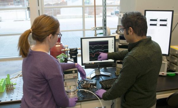 two people looking at a computer monitor