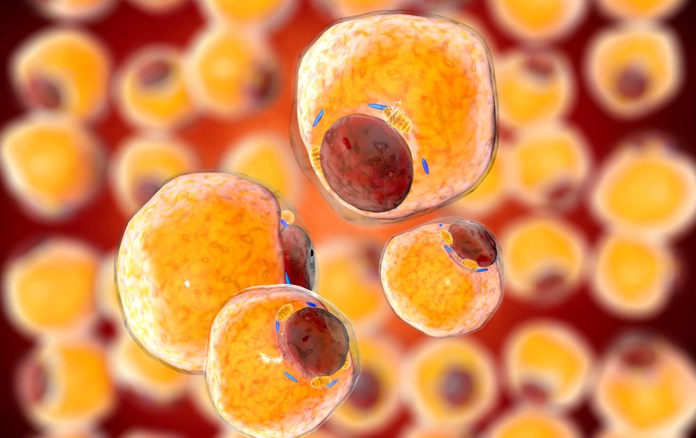 Background image representing Lasting Health