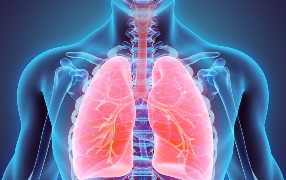 Background image representing Lasting Health