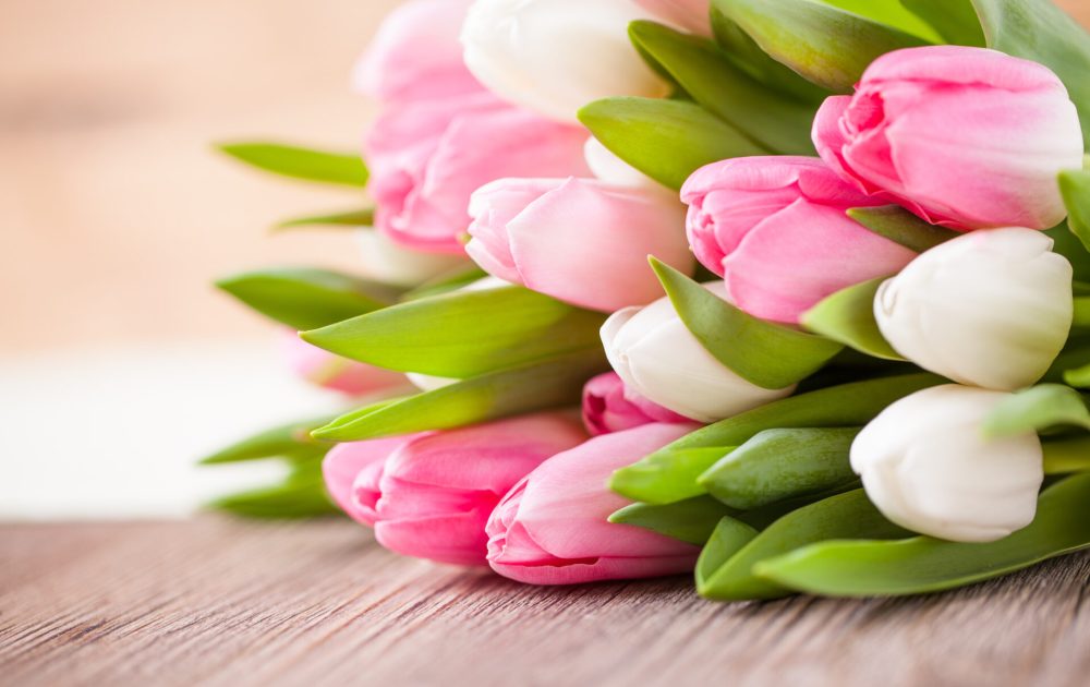 Background image representing Lasting Health