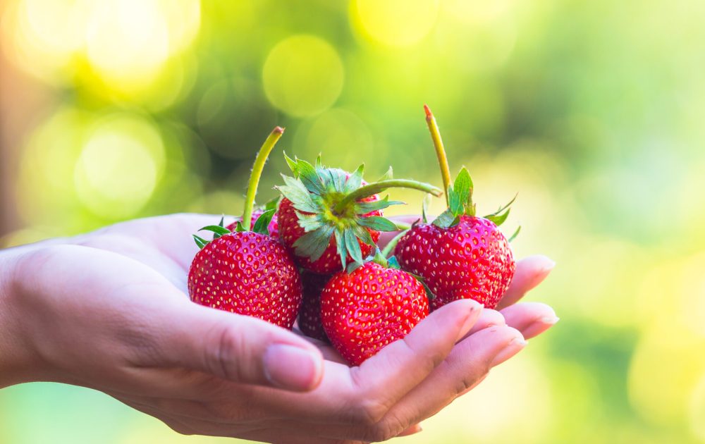 Background image representing Lasting Health