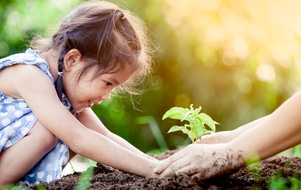 Background image representing Lasting Health