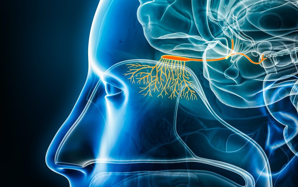 Background image representing Lasting Health