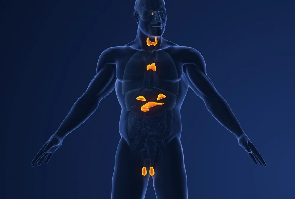 Background image representing Lasting Health