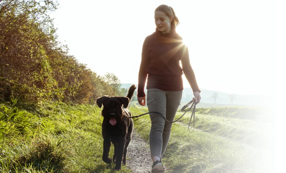 Background image representing Lasting Health