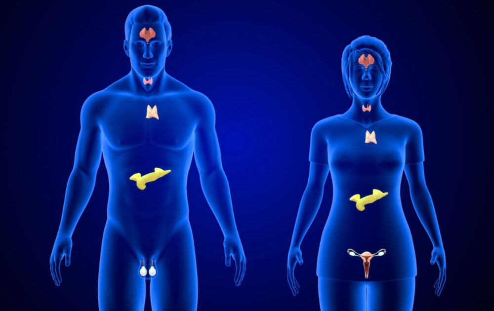 Background image representing Lasting Health