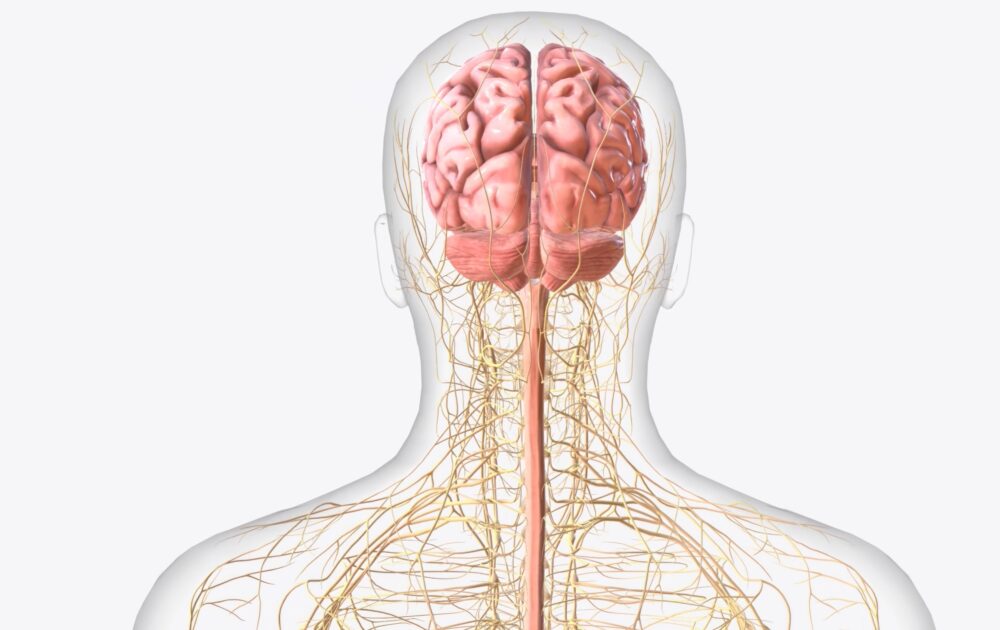 Background image representing Lasting Health